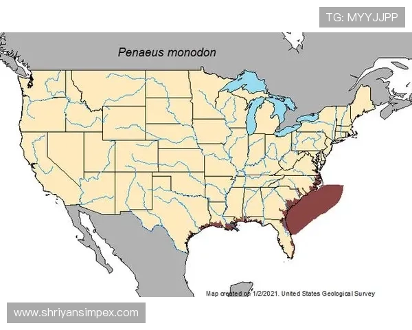 德克萨斯州的经济发展现状与未来趋势分析