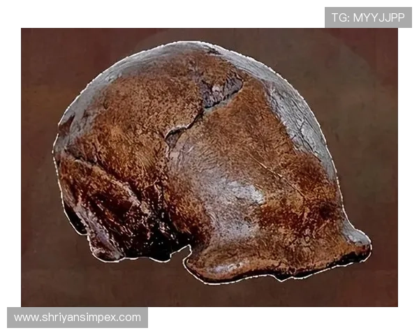 多宝真人传说揭秘：多宝真人的起源、传说与文化影响深度解析