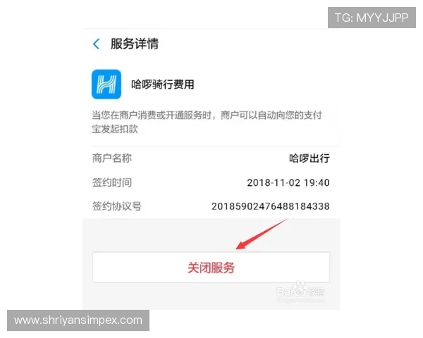 svip开元会员续费优惠政策全面解析让你享受持续尊贵体验